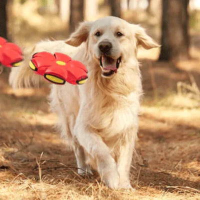 PELOTA FRISBY